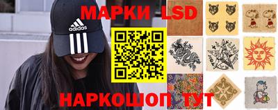 тгк Новодвинск