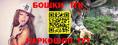 тгк Новодвинск