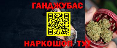 тгк Новодвинск