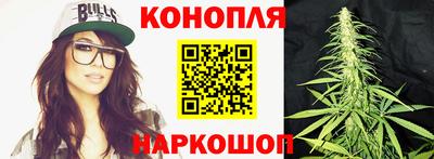 Альфа ПВП Новокубанск
