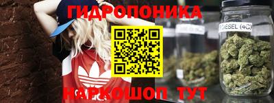 Альфа ПВП Новокубанск