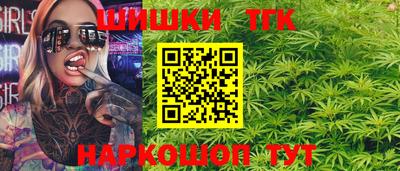 тгк Новодвинск